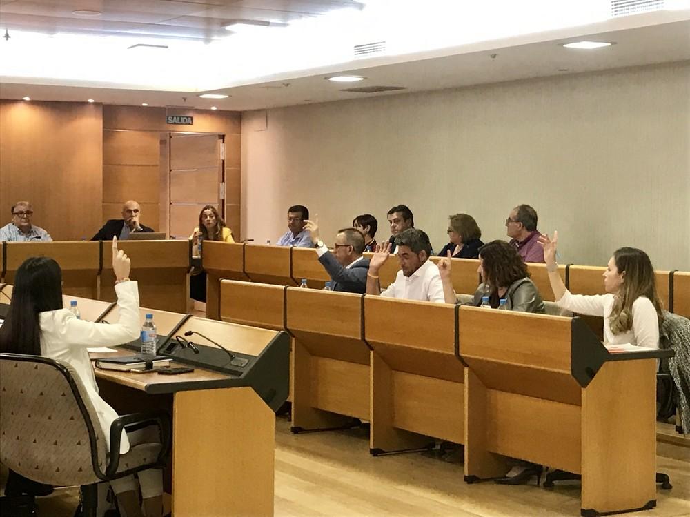 Cs El Ejido vota a favor del Plan de Ajuste porque “beneficia los intereses de los ejidenses”