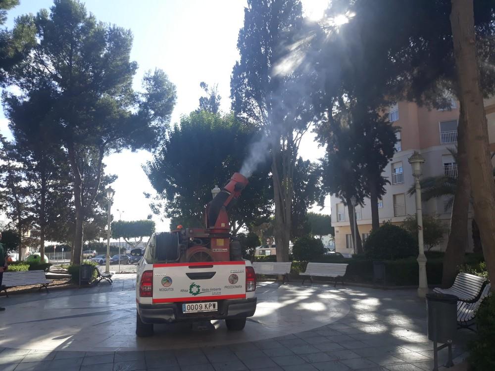 Labores preventivas contra la oruga procesionaria en colegios y zonas urbanas de Adra con presencia de pinos