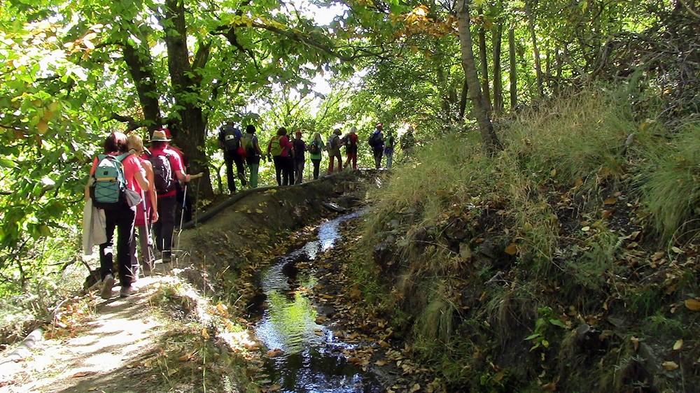 'Deporte y Naturaleza' de Vícar retrasa su primera salida de noviembre por las Elecciones Generales