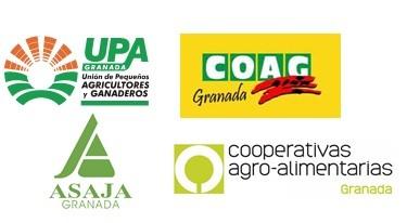 Granada también se movilizará para denunciar la inactividad de las Administraciones ante el estado crítico del sector hortofrutícola