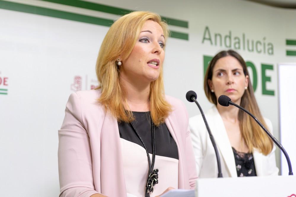 El PSOE de Adra lamenta que PP y Cs hayan aprobado un presupuesto opaco y que es un corta y pega del de 2015
