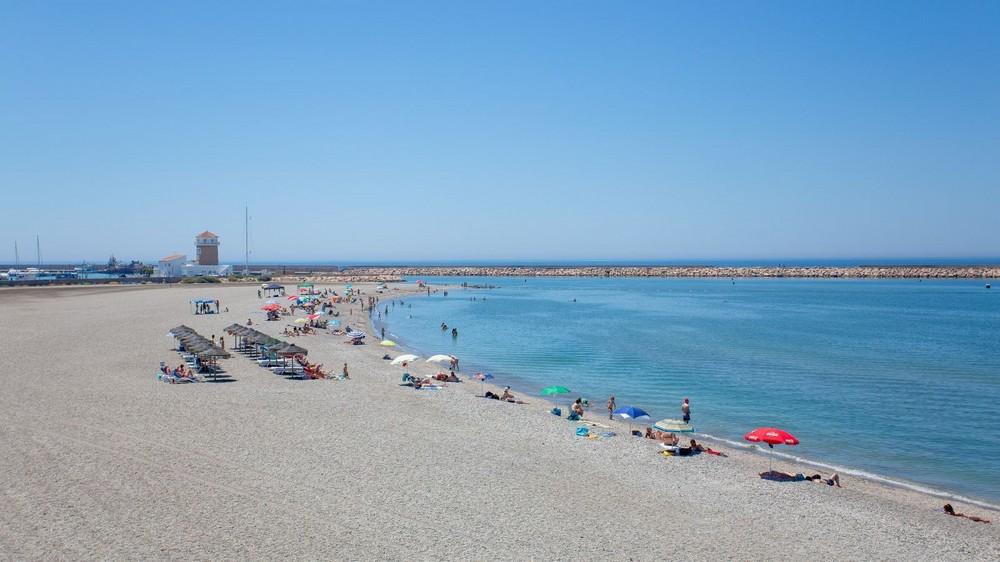 El Ejido cierra 2019 con un incremento histórico en el número de usuarios que han pasado por la Oficina Municipal de Turismo