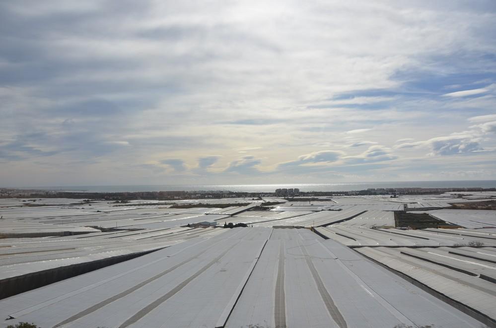 El Ejido se une en la defensa del futuro del sector hortofrutícola y pide una rentabilidad justa para la agricultura