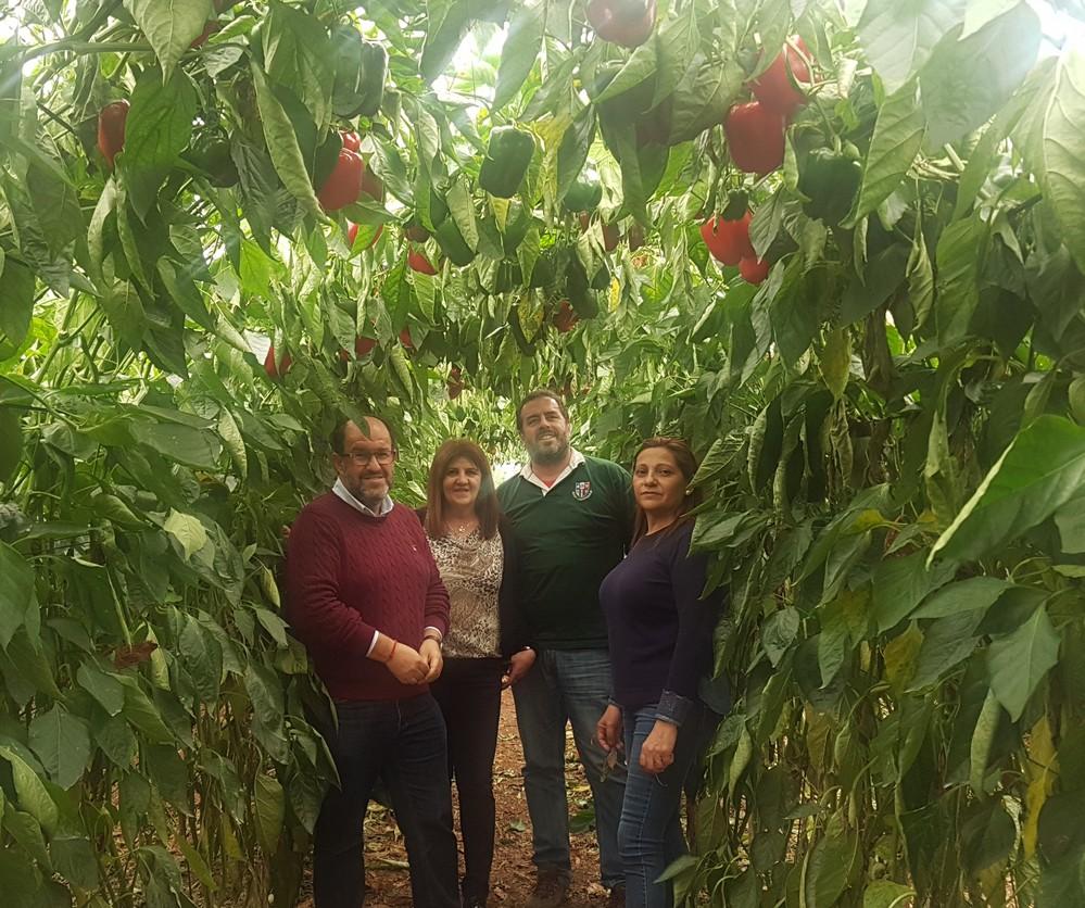 El PP de Dalías presenta una moción apoyando la rebaja fiscal para agricultores y ganaderos