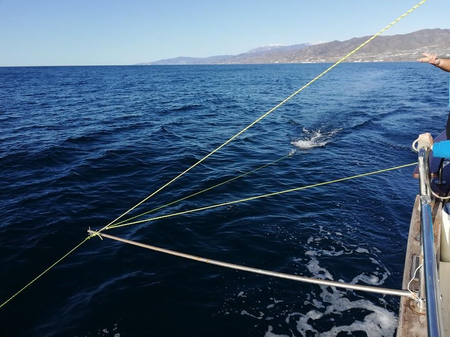 PROMAR inicia un estudio de microplásticos en la costa de Adra