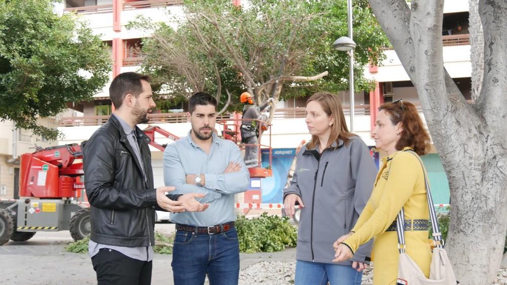 El plan de refuerzo y mantenimiento de jardines avanza con la poda de todo el arbolado de Adra