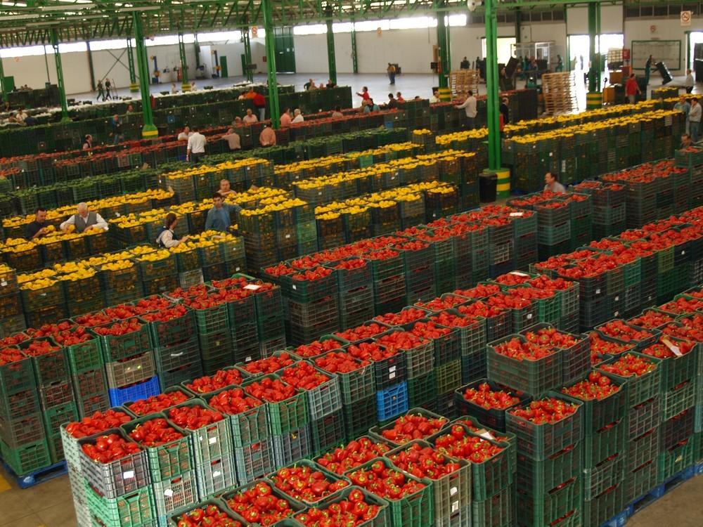 La Junta y el sector agroalimentario y pesquero acuerdan medidas preventivas frente al Covid-19