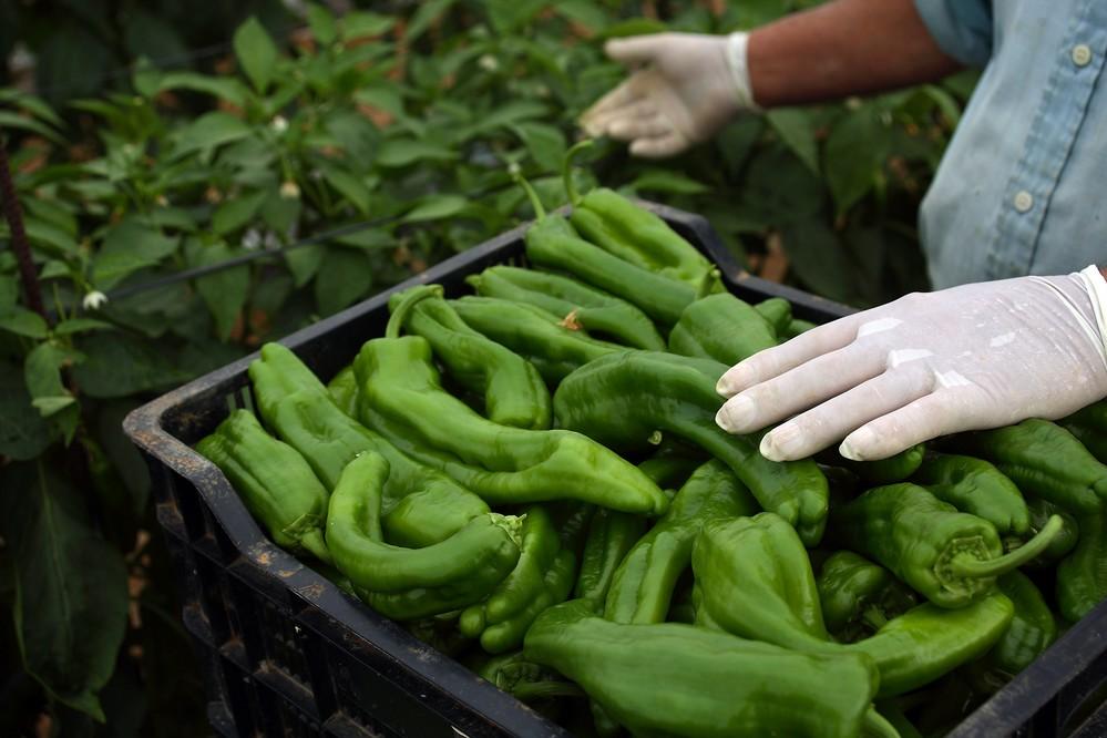 Coexphal, Ecohal, CC OO y UGT acuerdan medidas de prevención conjuntas frente al coronavirus