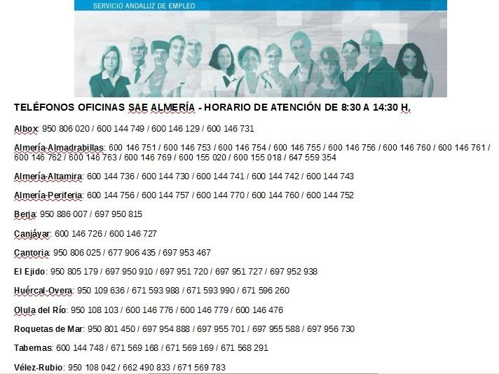 El SAE renovará automáticamente todas las demandas de empleo para facilitar el cobro de prestaciones