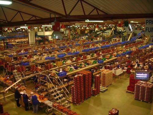 Agricultores, pescadores y manipulado pueden trasladarse a sus puestos de trabajo compartiendo vehículo cuidando la distancia de seguridad