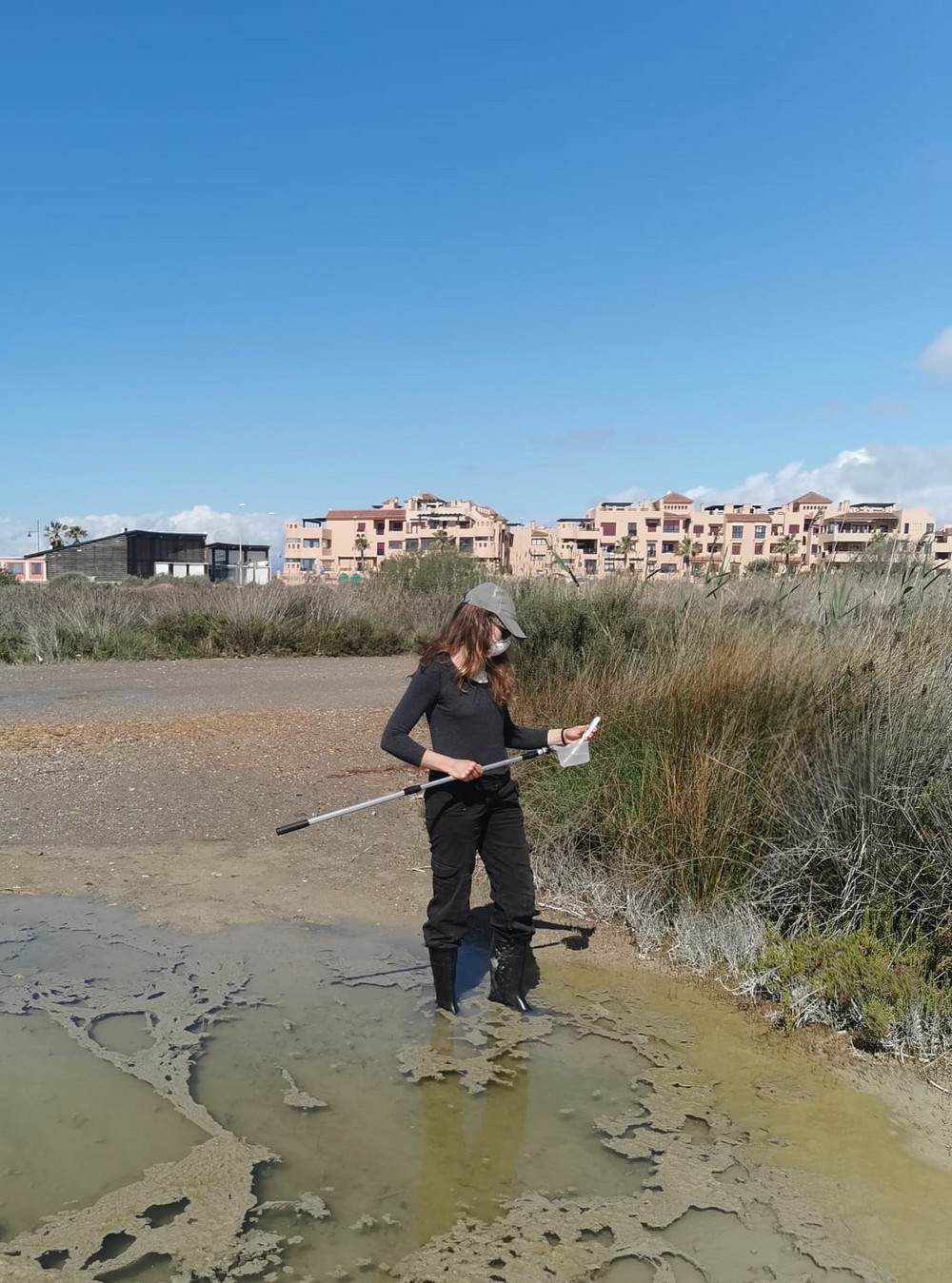 El gobierno local continúa con las labores de control y los tratamientos de erradicación de mosquitos de cara a evitar su proliferación con la llegada de las altas temperaturas