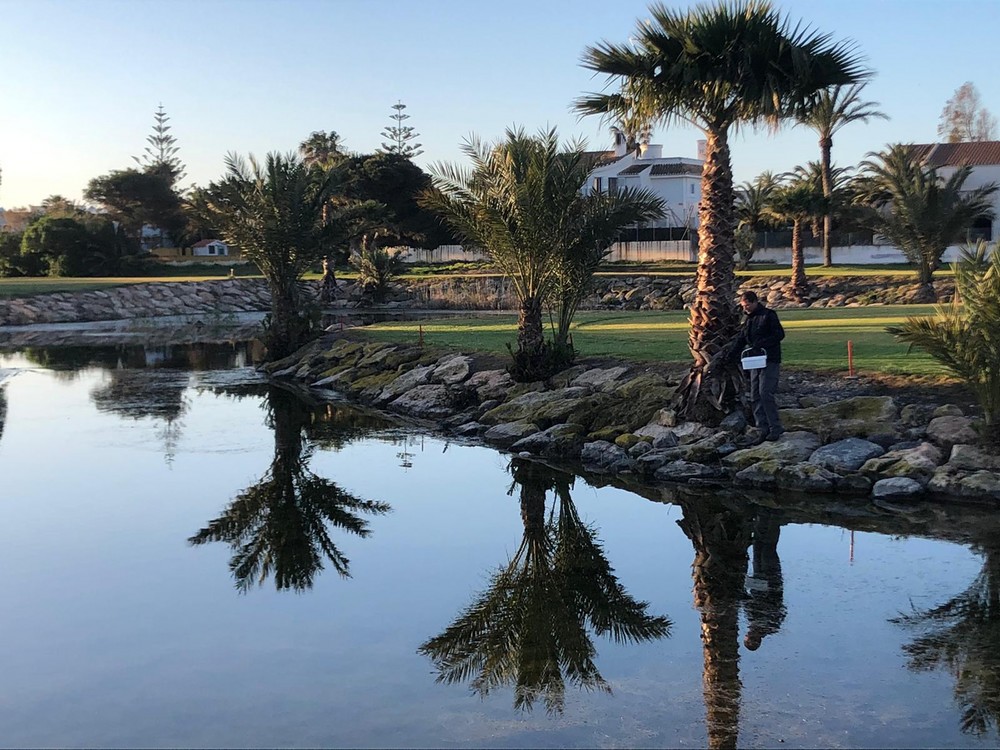 El Ejido trabaja en la primera Ordenanza Municipal de Prevención y Control de Mosquitos de Andalucía