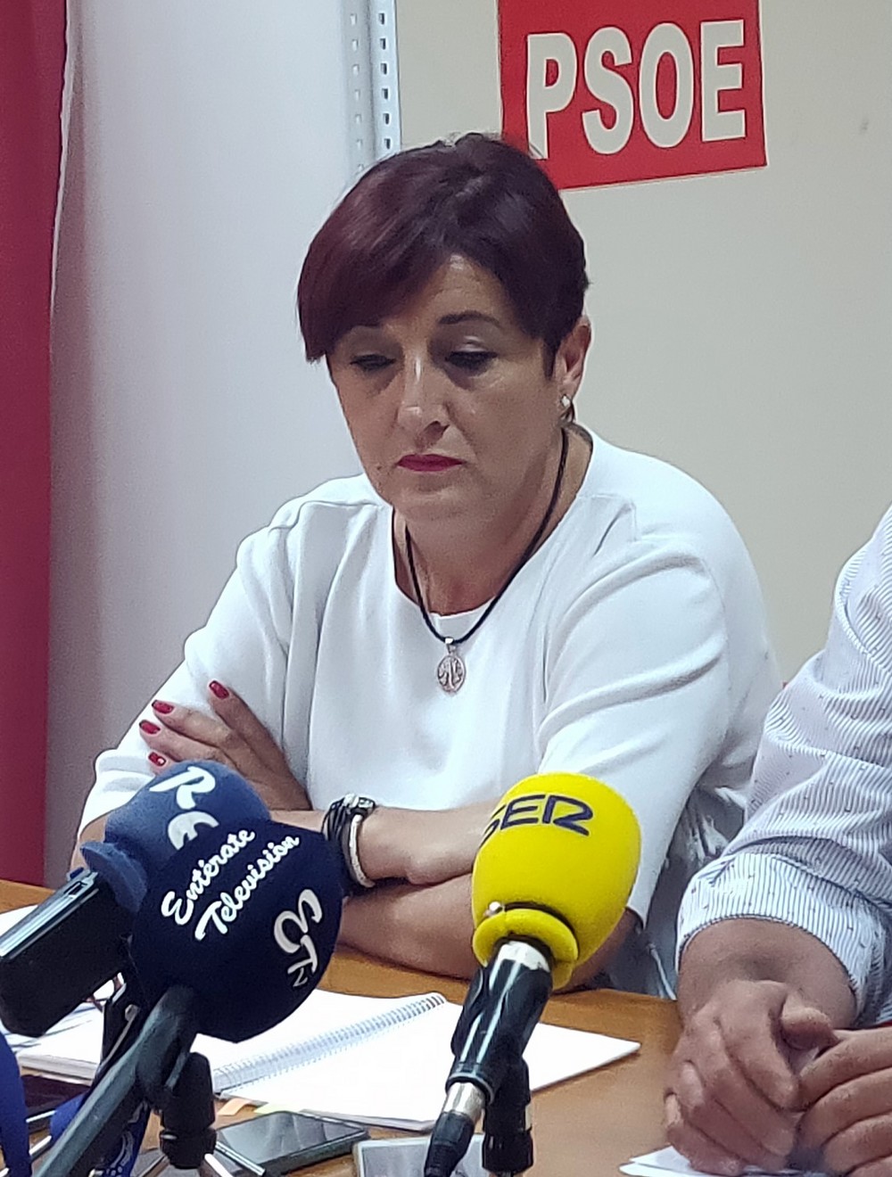 El PSOE de El Ejido propone en la comisión de seguimiento del COVID-19 que se impulse un servicio de alquiler de bicicletas como medida de transporte alternativa