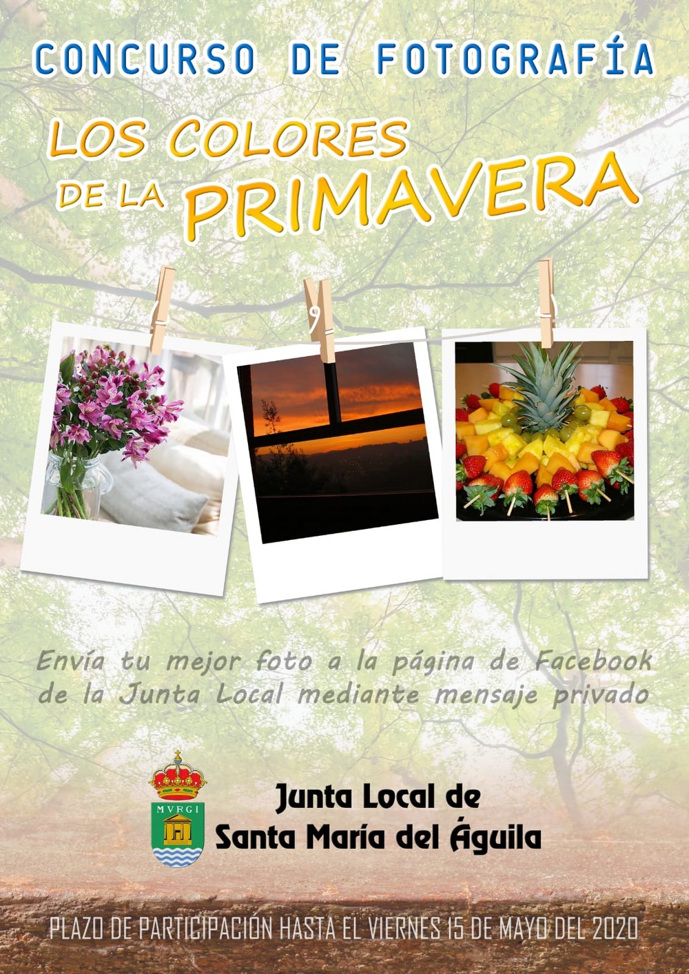 La Junta Local de Santa María del Águila anima a la participación vecinal en actividades online de promoción cultural