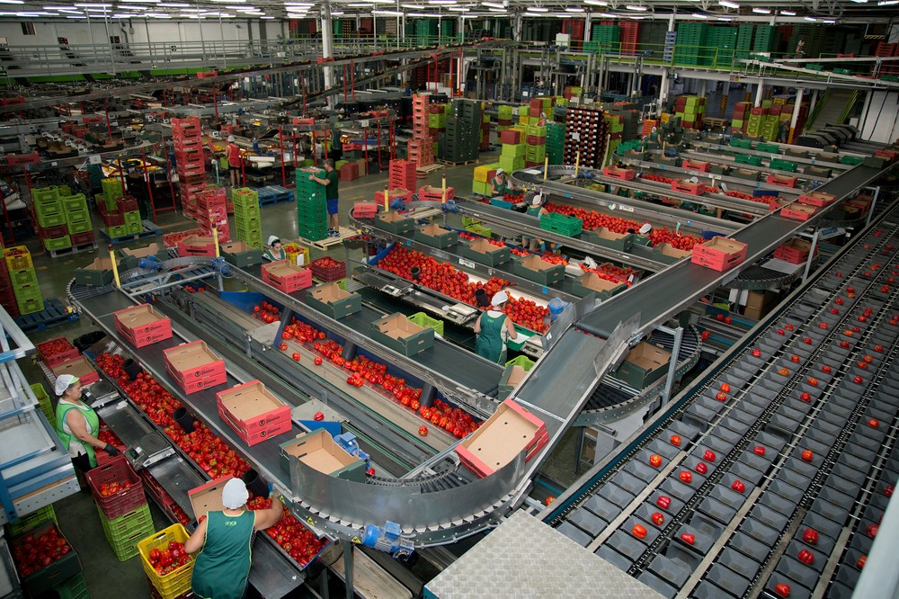 CSIF solicita incluir en el nuevo Convenio del manipulado el plus de peligrosidad y penosidad en situaciones de excepcionalidad