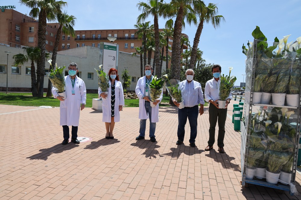 Semilleros Laimund reparte 3.000 plantas ornamentales entre los sanitarios del Hospital de Poniente, centros de salud y Distrito Sanitario Poniente