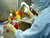 Almería no suma ningún positivo de coronavirus por PCR en las últimas 24 horas