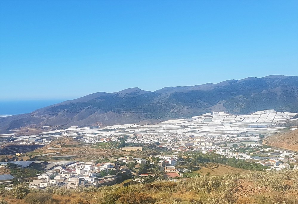 El PP de Dalías presenta una moción para instar al Gobierno a que permita la aplicación del superávit municipal en la lucha contra el COVID-19
