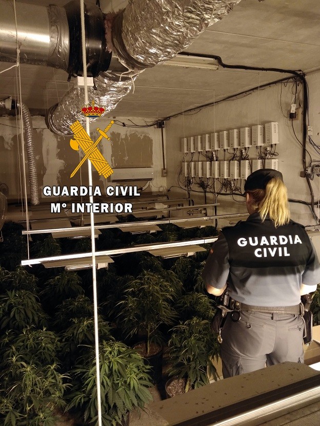 La Guardia Civil detiene al responsable de una plantación indoor de marihuana con 150 plantas en Roquetas de Mar