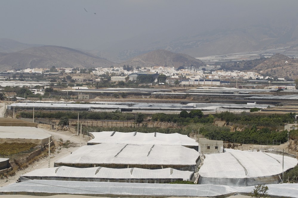 Retiran una “pequeña partida” de Agrocelhone que provocó daños en doce hectáreas de Berja y Dalías