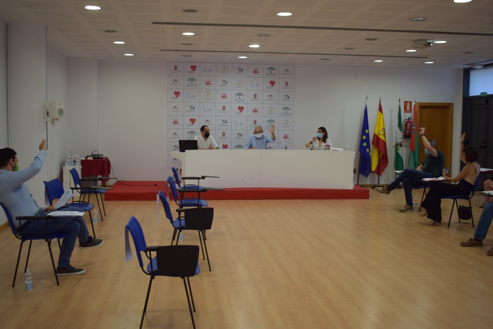 Vícar aprueba su Presupuesto Municipal de 2020