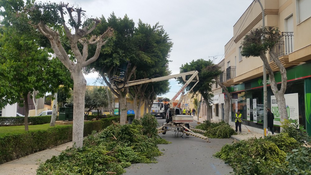 Vícar destina más  del 63% de las inversiones del Presupuesto  2020  a la mejora de los Servicios Públicos