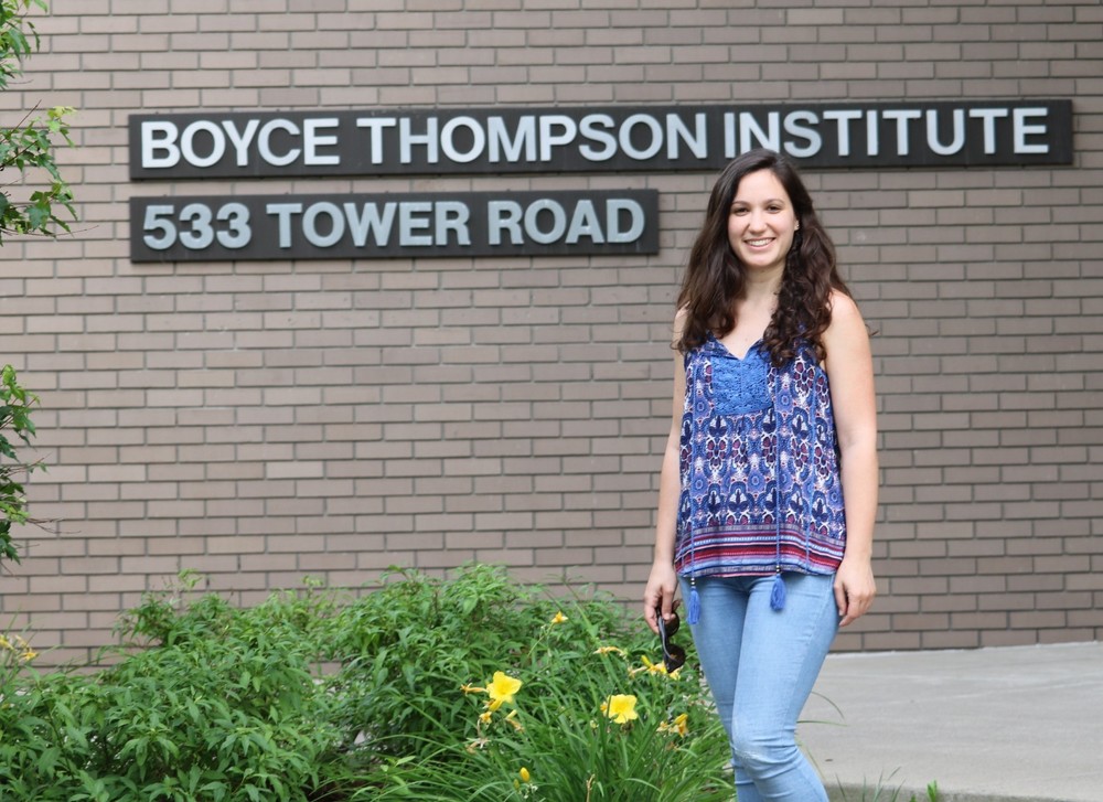 Bióloga almeriense investiga una mejora genética del calabacín