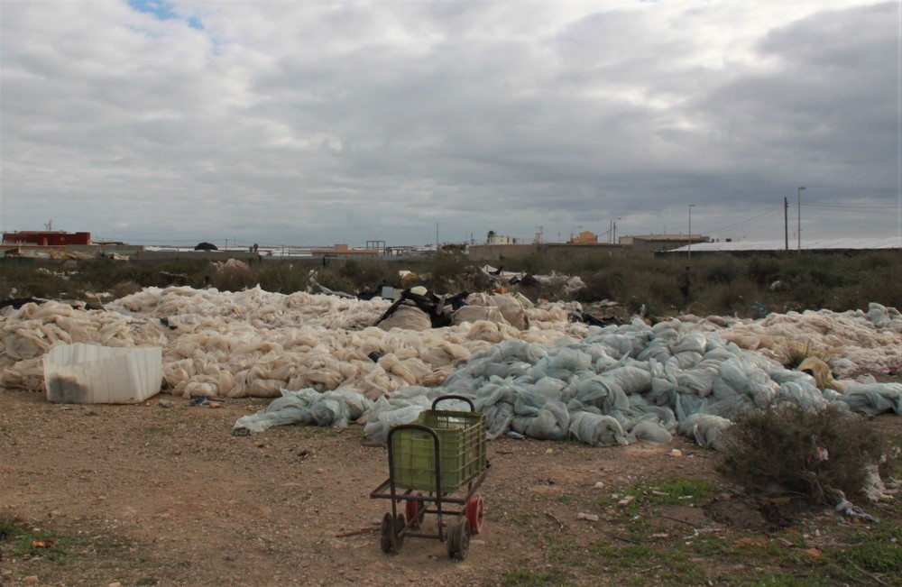El Grupo Municipal Socialista reitera a PP y VOX que aplique “de una vez” la ordenanza municipal  ante la “tremenda dejadez” en materia de limpieza de los barrios y núcleos de El Ejido