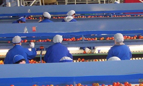 CSIF reitera la necesidad de extremar las medidas de protección a los trabajadores y trabajadoras del manipulado