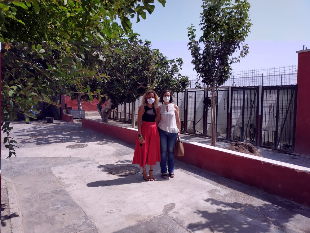 La edil de Sanidad se reúne con su homóloga en el Ayuntamiento de Almería para abordar la temática del control de las colonias felinas en el municipio