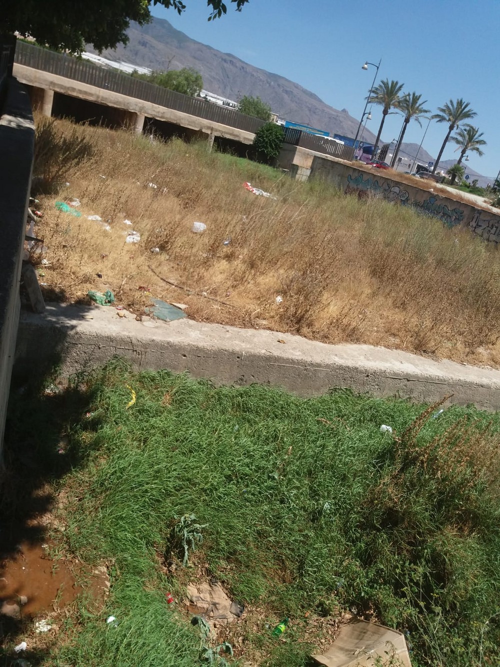 Los vecinos de la zona Plaza de la Petanca en Santa María del Águila piden solución a los problemas de limpieza