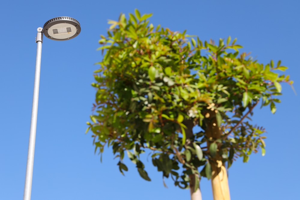 El gobierno local renovará un total de 150 columnas y 250 luminarias en el paseo de Levante y Poniente de Almerimar