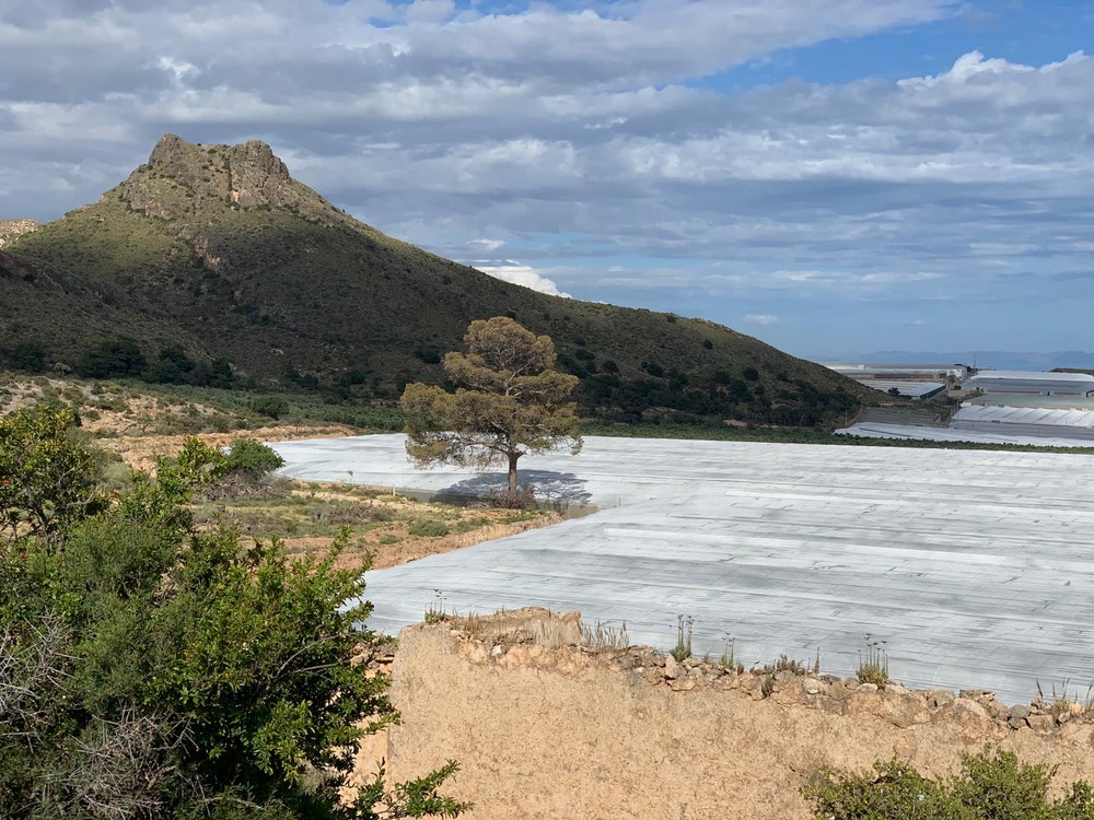 Vícar convoca un concurso de selfies y Tik Tok en la Semana de la Movilidad Europea