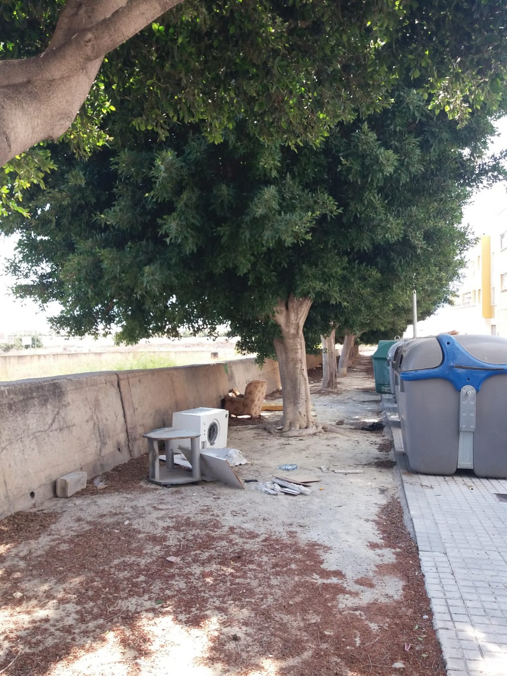 Vecinos de Santa María del Águila piden más limpieza viaria