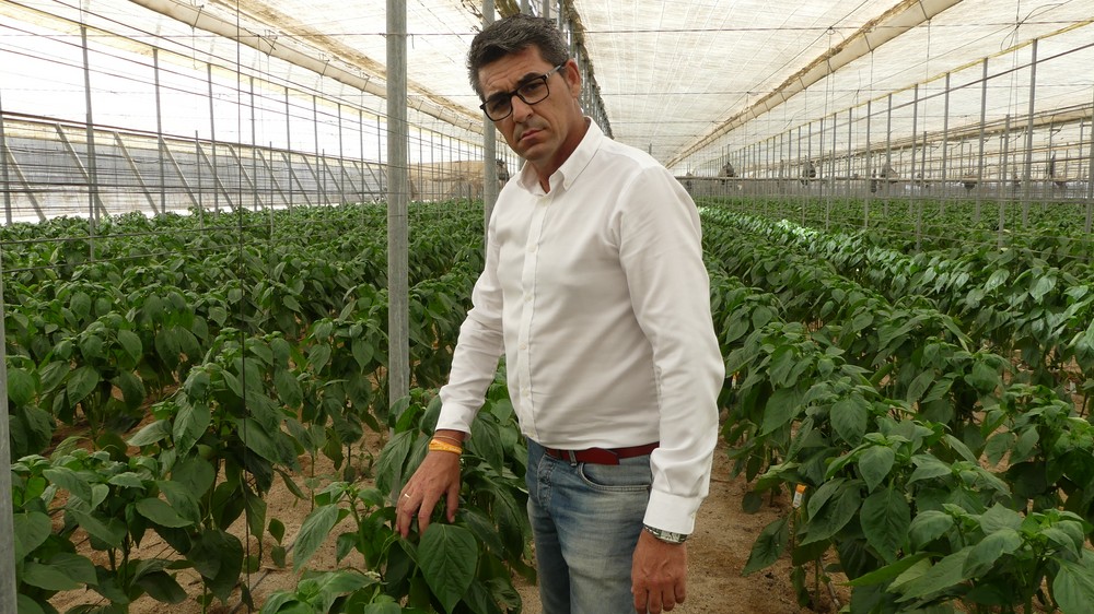 Rafael Bretones (Cs): 'Hemos pedido en el Pleno que se ejecute la desalobradora de la Balsa del Sapo junto a otras actuaciones'