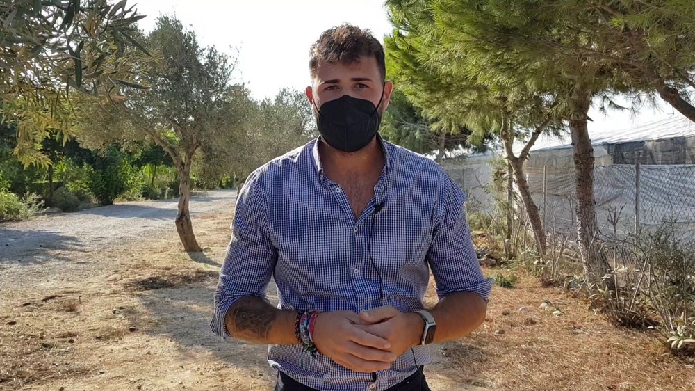 El PP La Mojonera denuncia la “tala indiscriminada” de árboles en parques y vías del municipio