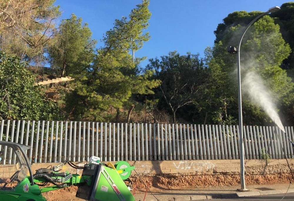 El Ayuntamiento de Berja pone en marcha un tratamiento para luchar contra la procesionaria