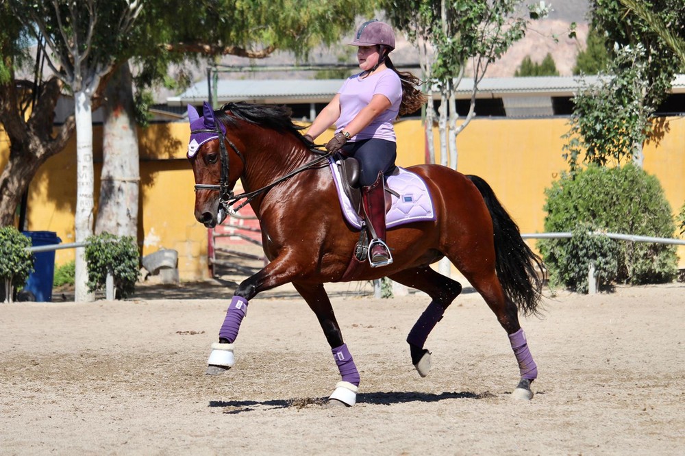 Club Hípico Santa María del Águila logra cinco medallas en la prueba provincial de Vera