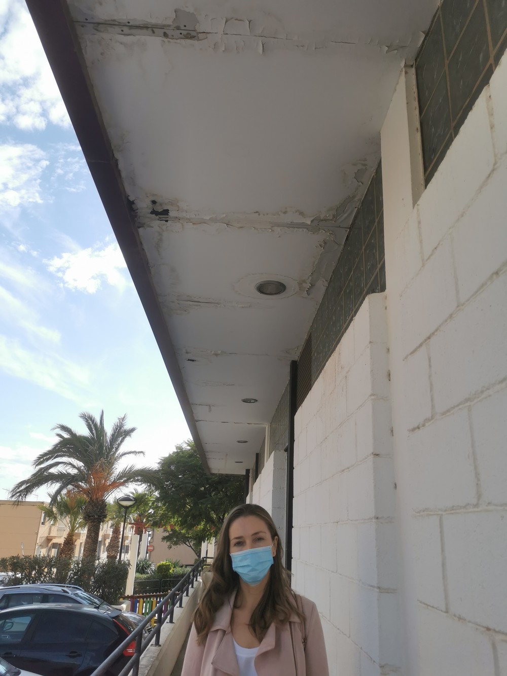 Mª Herminia Padial exige a PP y VOX un mantenimiento mínimo en el Mercado de Abastos de Santo Domingo