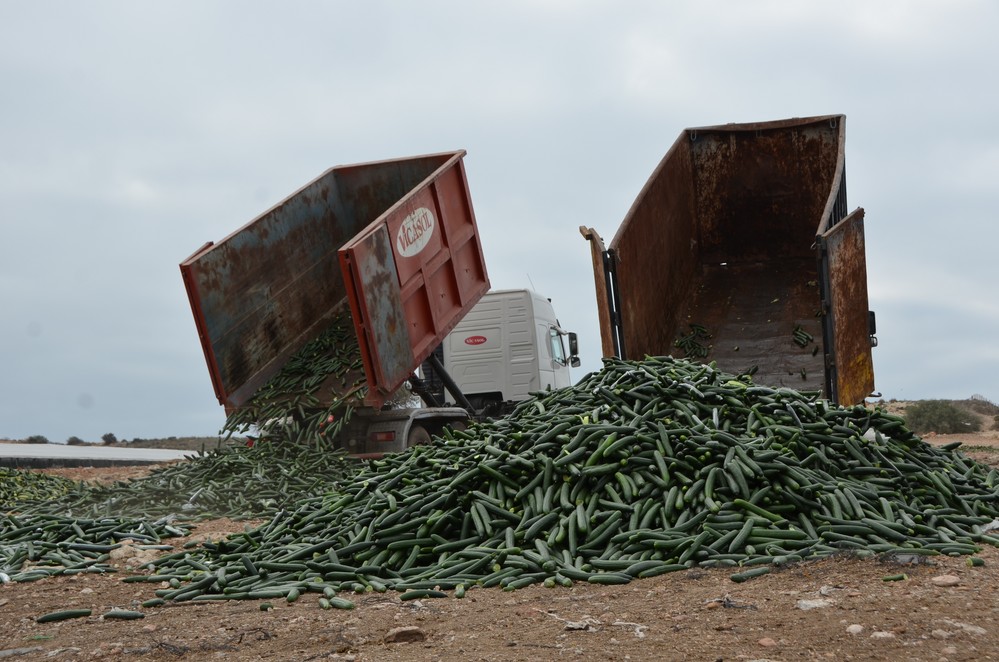 El Ejido protagoniza un nuevo acto de retirada de producto agrícola ante los “precios ruinosos”