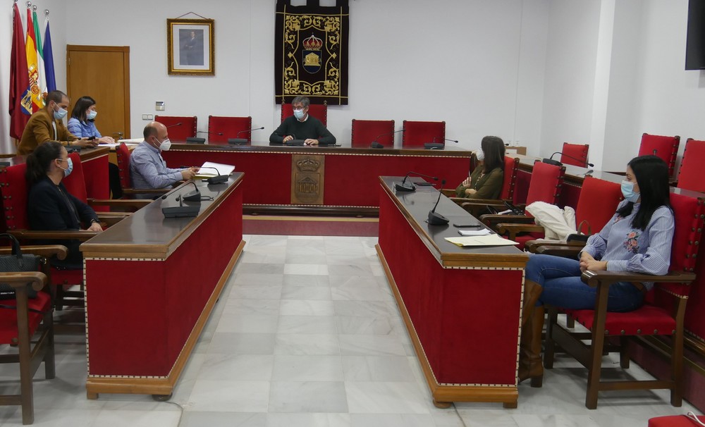 Adjudicado el servicio de poda de árboles y palmeras y mantenimiento de jardines