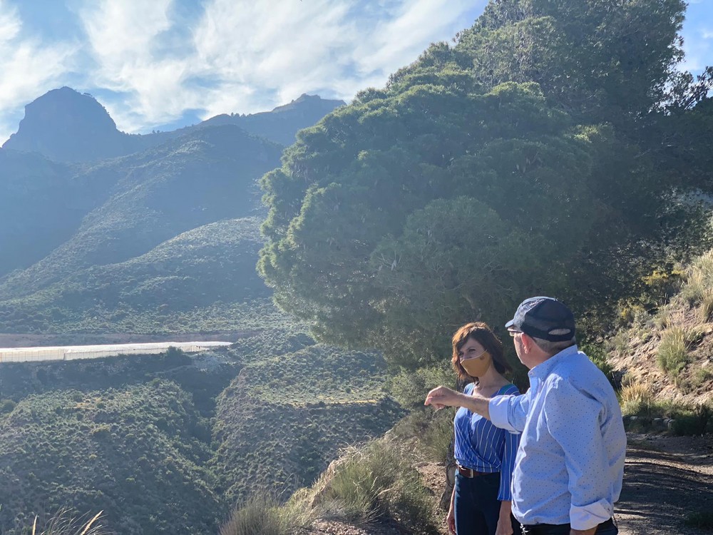 Vícar se adhiere a la iniciativa 'Andalucía en Flor' para la promoción de espacios verdes