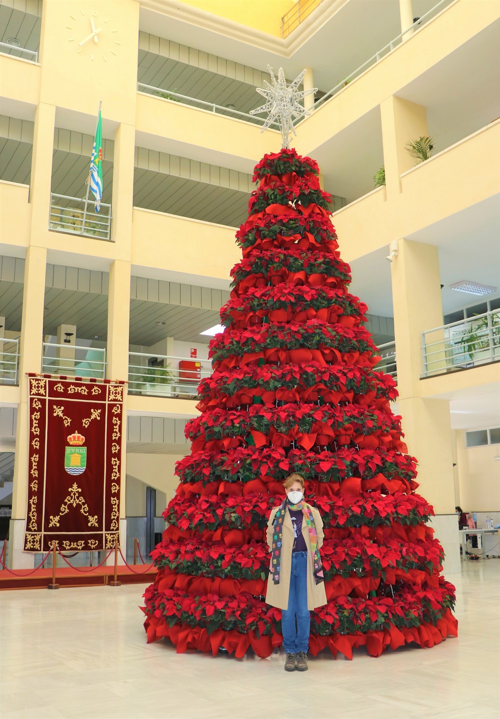 La Navidad ilumina desde hoy las calles y plazas del municipio de El Ejido