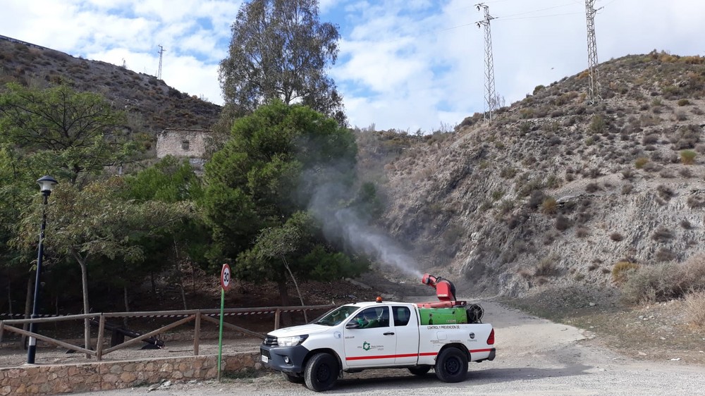 El Ayuntamiento de Adra realiza trabajos de prevención contra la procesionaria en colegios y zonas urbanas