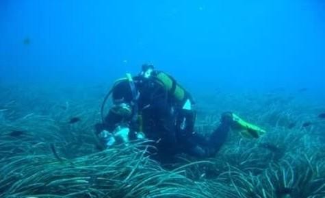 El Gobierno de España amplía la protección de los fondos marinos de Punta Entinas-Sabinar y los arrecifes de Roquetas