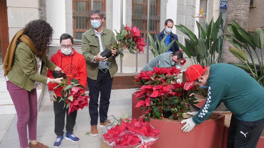 Manuel Cortés destaca la importancia de avanzar en la inserción laboral de personas con diversidad funcional