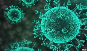 Los positivos caen en Almería hasta los 66 casos con cuatro muertos en la última jornada