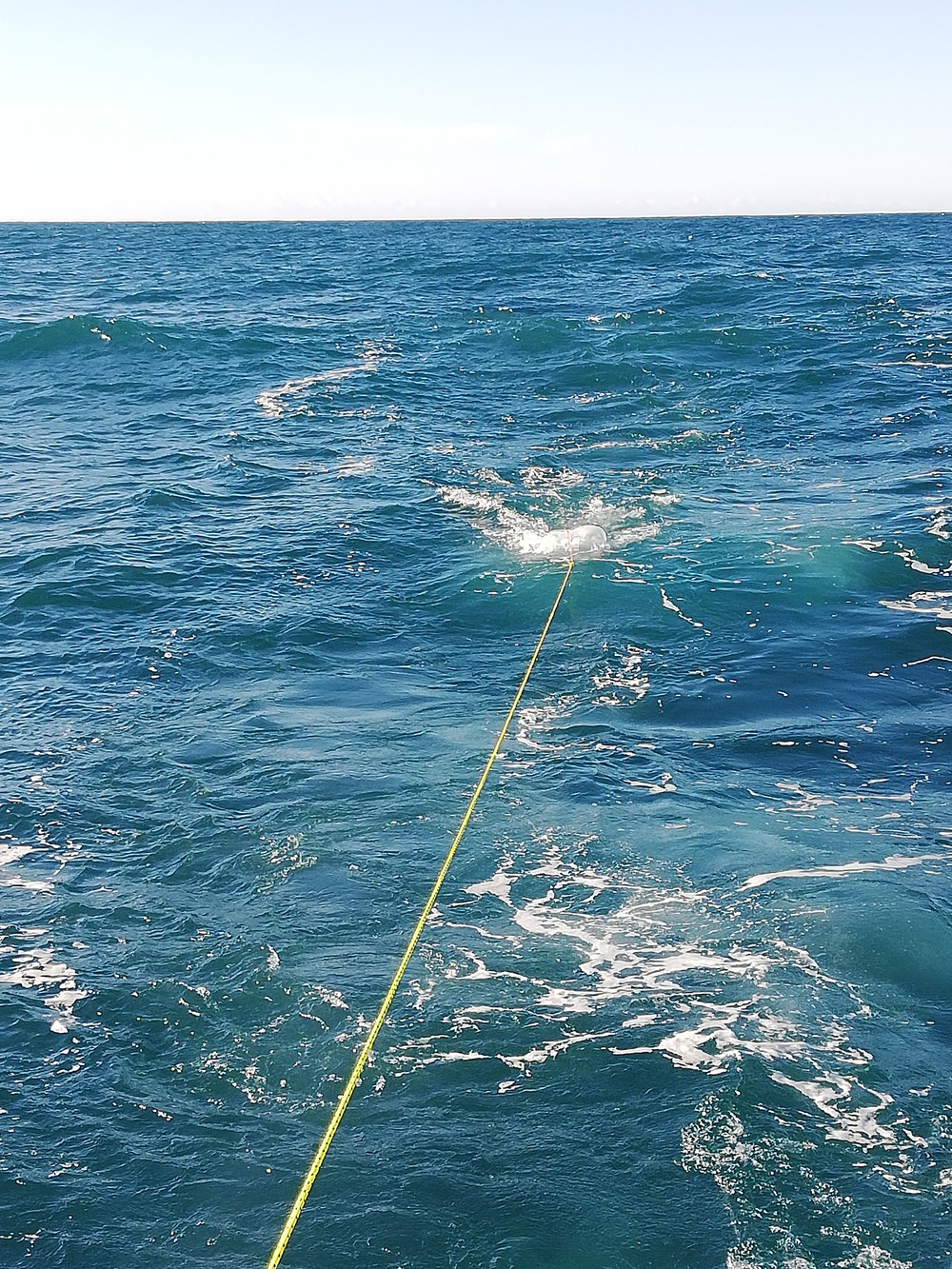 PROMAR finaliza el proyecto a la caza de microplásticos
