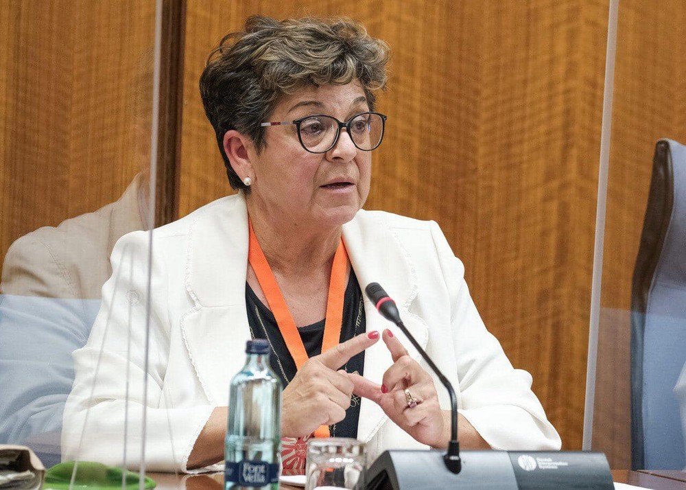 Cristina González 'me veo obligada a adelantar las elecciones debido al bloqueo técnico que sufro para desarrollar mis funciones'