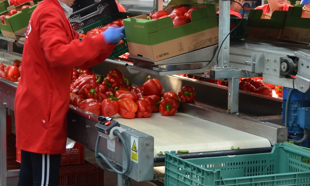 COEXPHAL ha calificado la huelga del sector del manipulado de “fracaso estrepitoso”